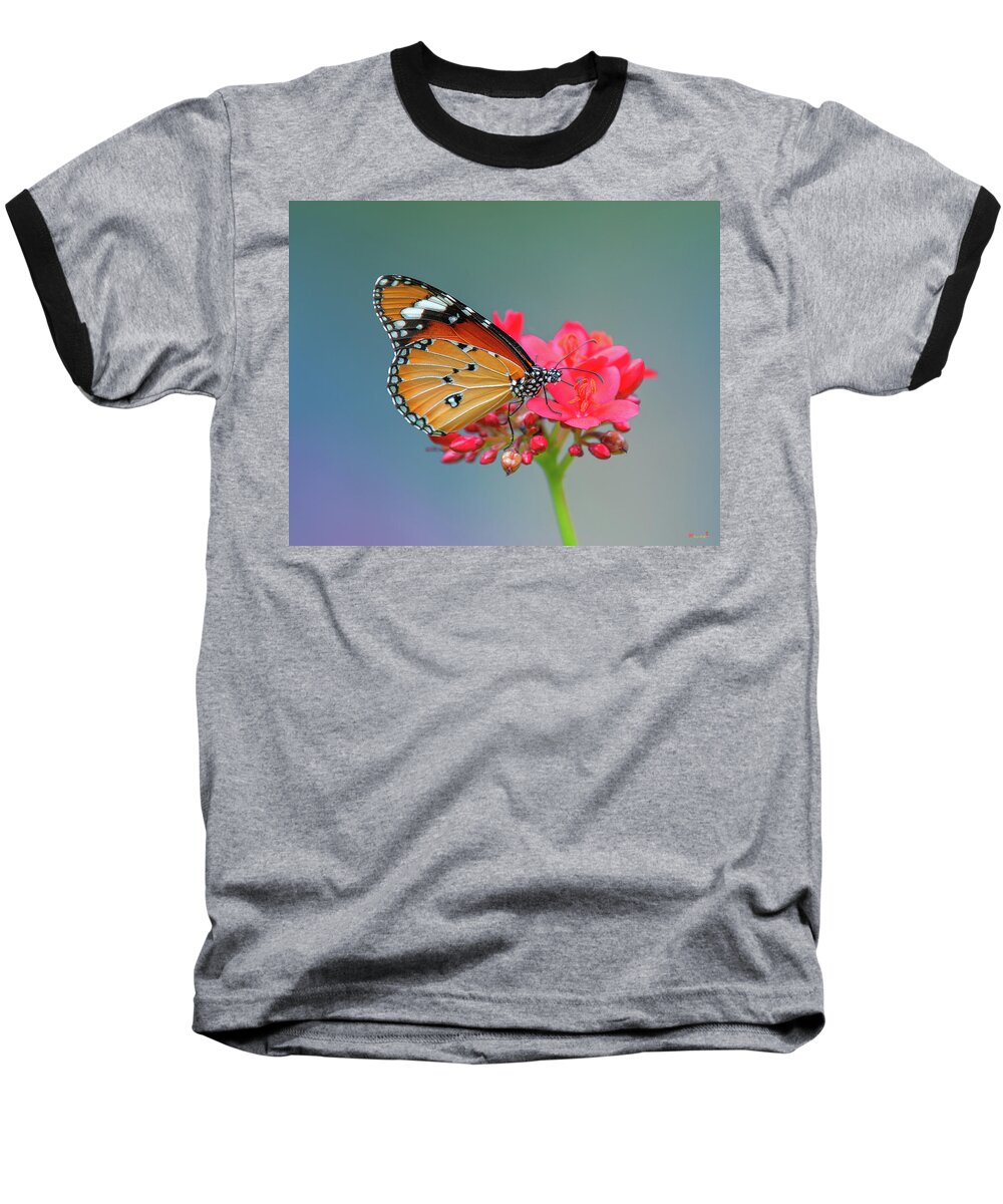 Bangkok Baseball T-Shirt featuring the photograph Plain Tiger or African Monarch Butterfly DTHN0246 by Gerry Gantt