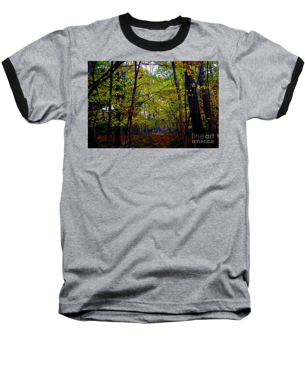 Poconos Autumn Archway In The Forest Baseball T-Shirt featuring the photograph Poconos Autumn Archway In The Forest by Barbra Telfer