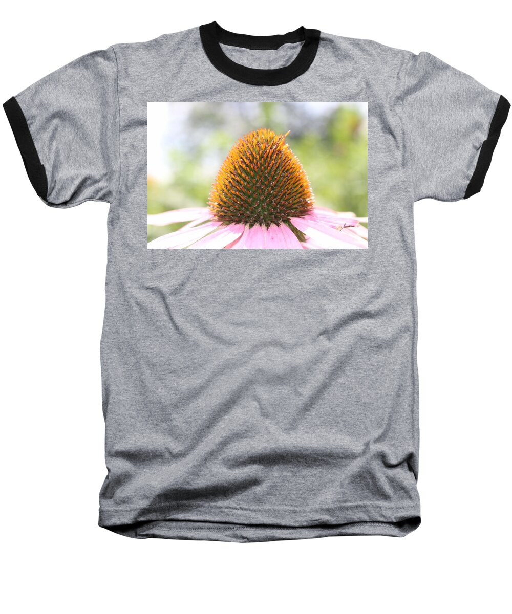 Purple Baseball T-Shirt featuring the photograph Purple Coneflower Seeds by Christopher Lotito
