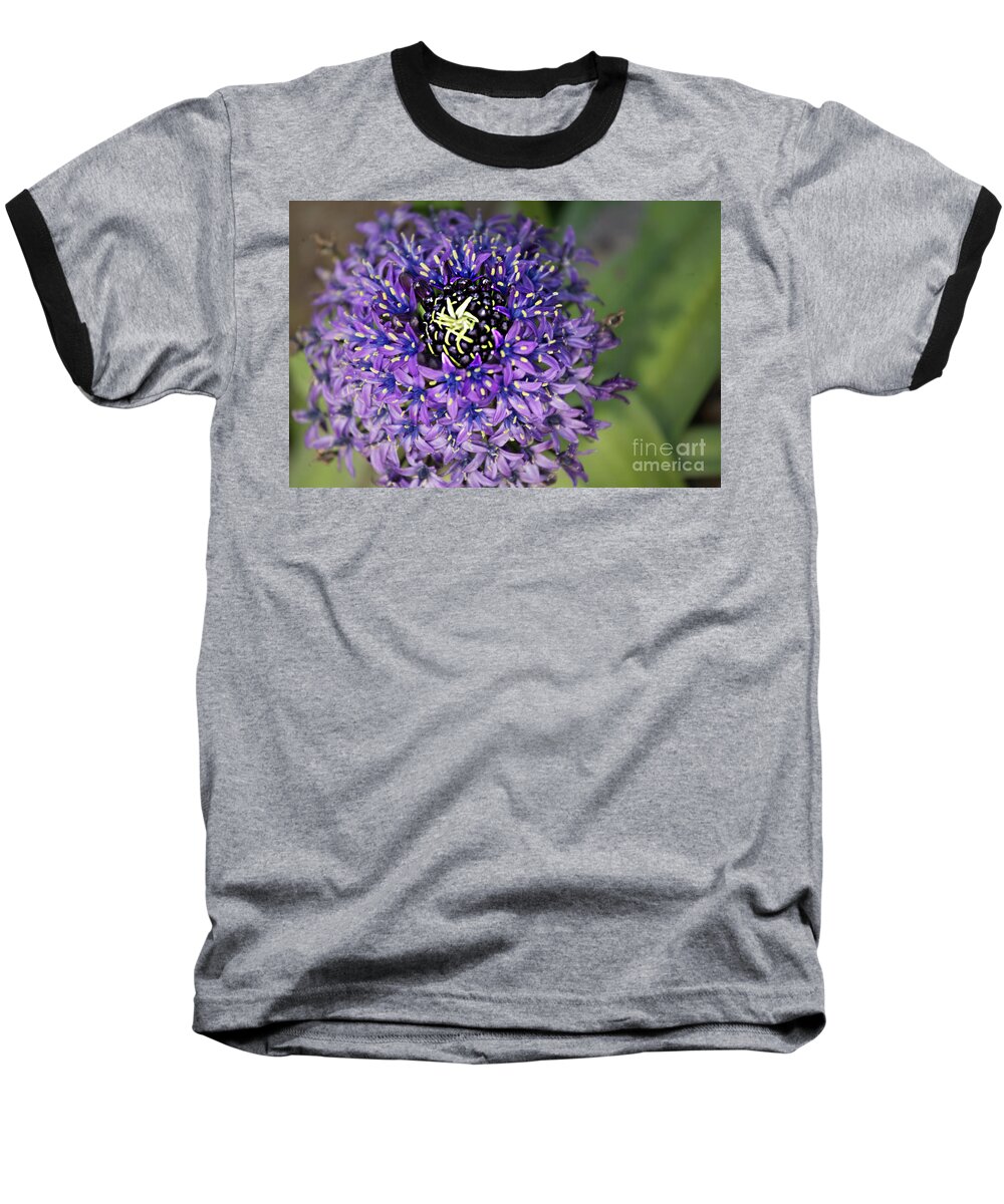 Purple Baseball T-Shirt featuring the photograph Purple Flower by Rich Collins