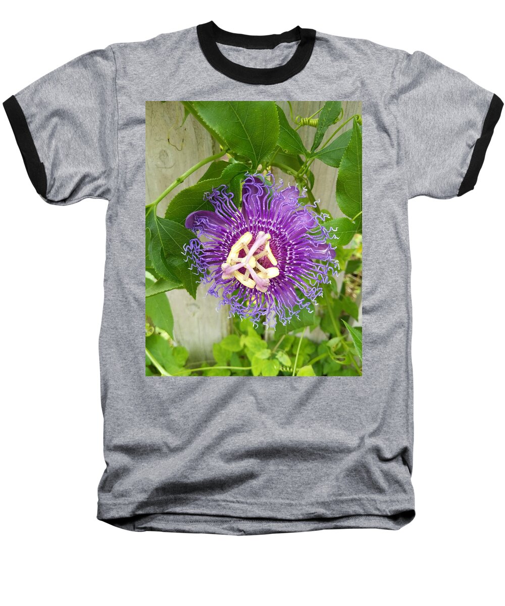 Flower Baseball T-Shirt featuring the photograph Purple Passionflower by Portia Olaughlin