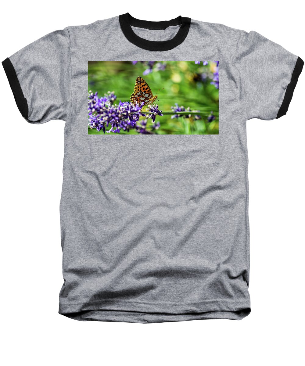 Queen Of Spain Fritillary Baseball T-Shirt featuring the photograph Queen of Spain fritillary in profile on the blue lavender by Torbjorn Swenelius