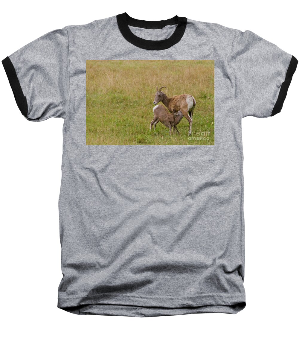 Photography Baseball T-Shirt featuring the photograph Reluctant Weaner by Sean Griffin
