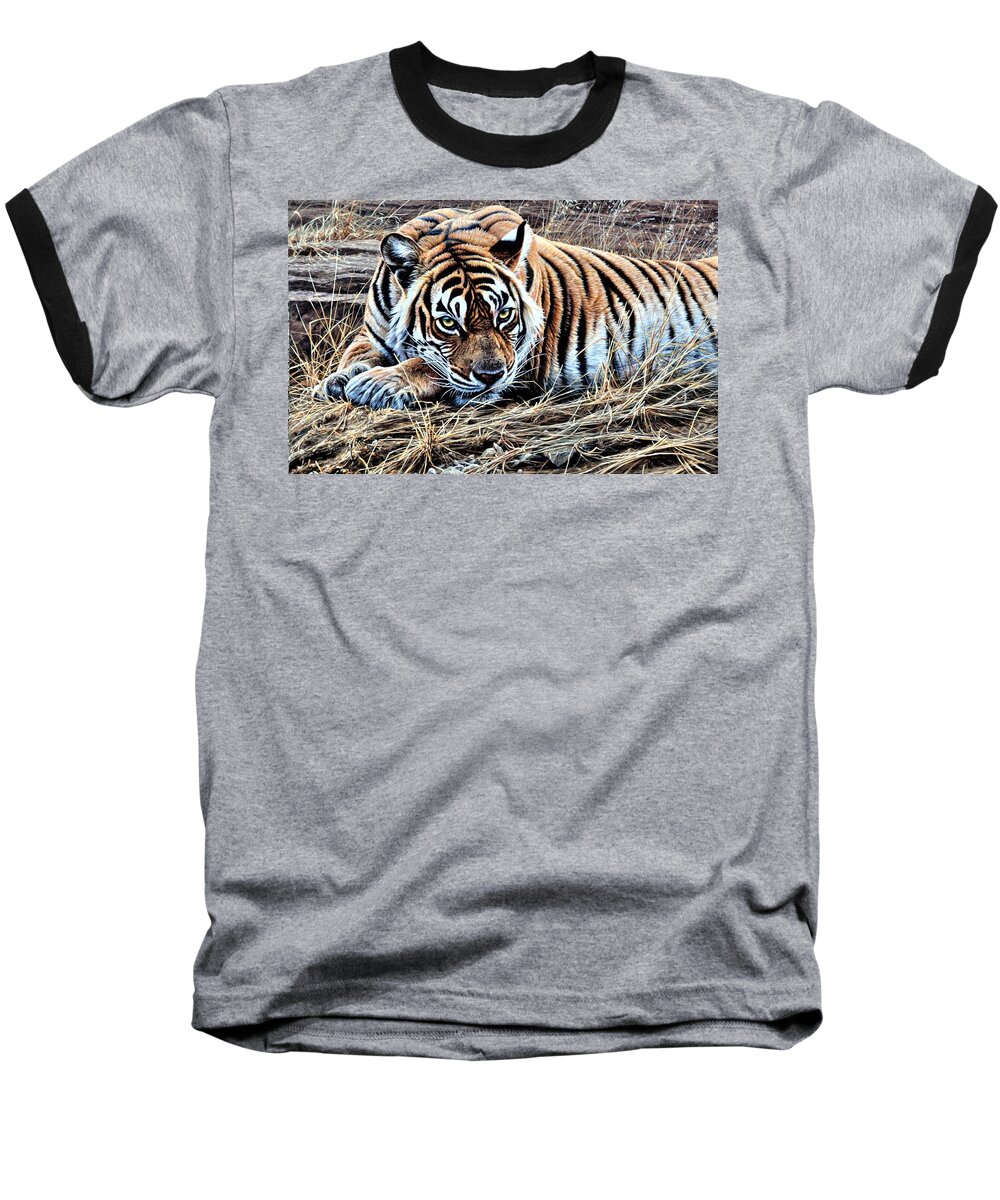Keywords: Paintings Baseball T-Shirt featuring the painting Resting Tiger by Alan M Hunt by Alan M Hunt