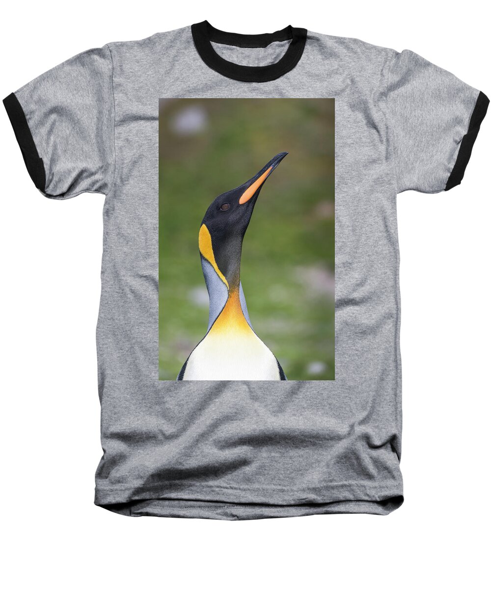 Penguin Baseball T-Shirt featuring the photograph Royalty by Alex Lapidus