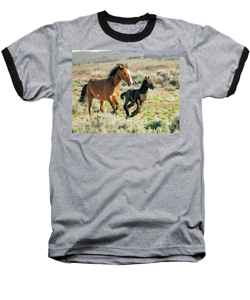 Wild Mustangs Baseball T-Shirt featuring the photograph Running Wild Mustangs - Mom and Baby by Judi Dressler