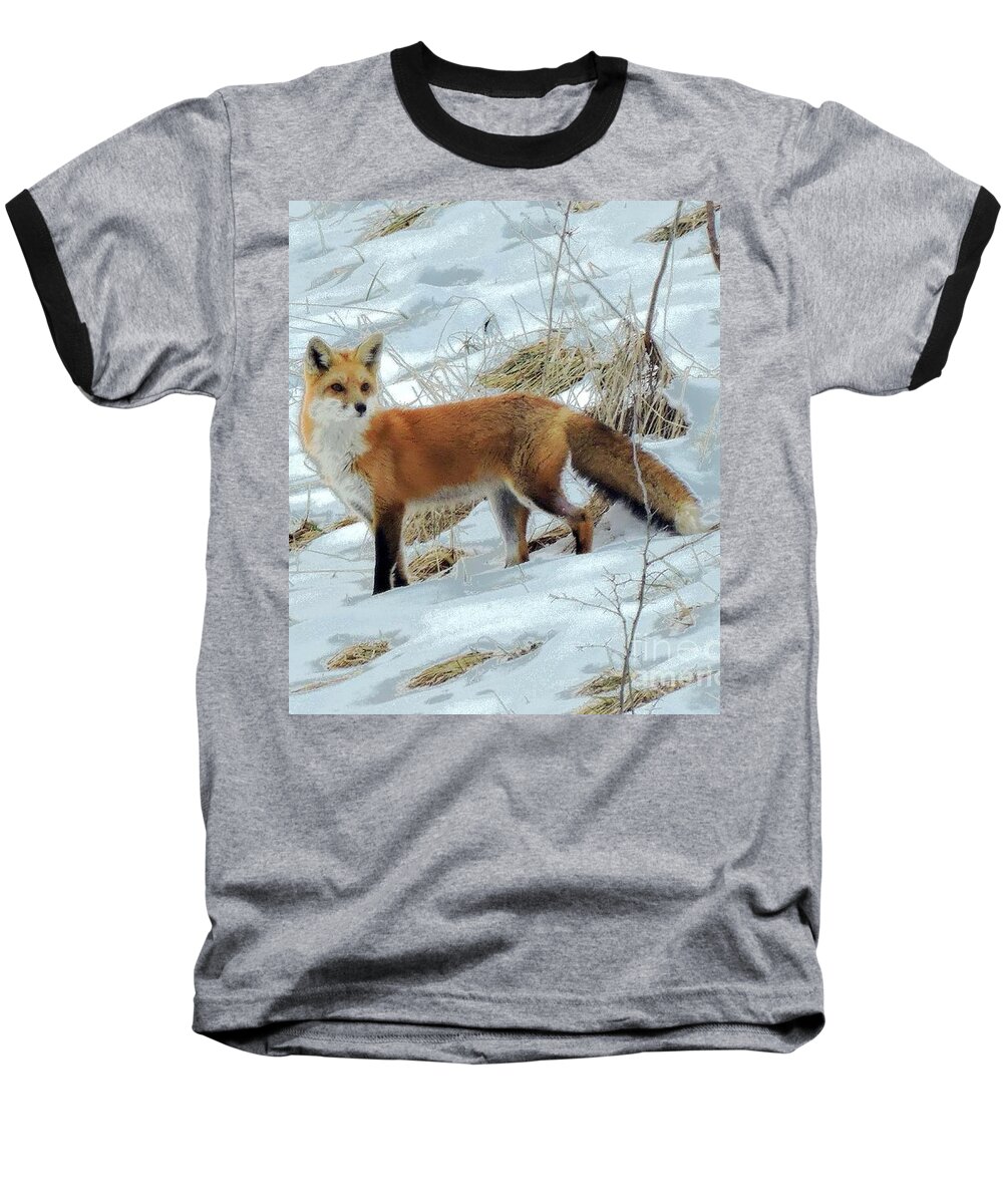 Red Fox Baseball T-Shirt featuring the photograph Simply Red by Tami Quigley