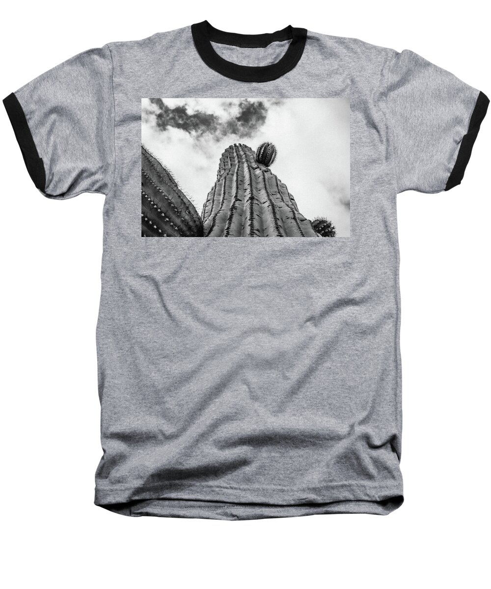 Cactus Baseball T-Shirt featuring the photograph Skyward by Melisa Elliott