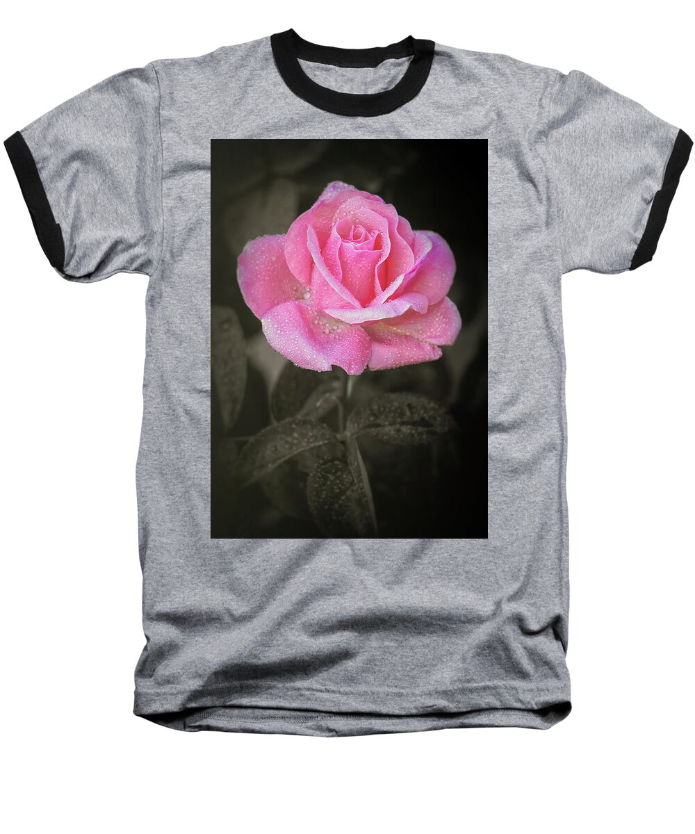 Roses Baseball T-Shirt featuring the photograph Smells Just As Sweet by Elaine Malott