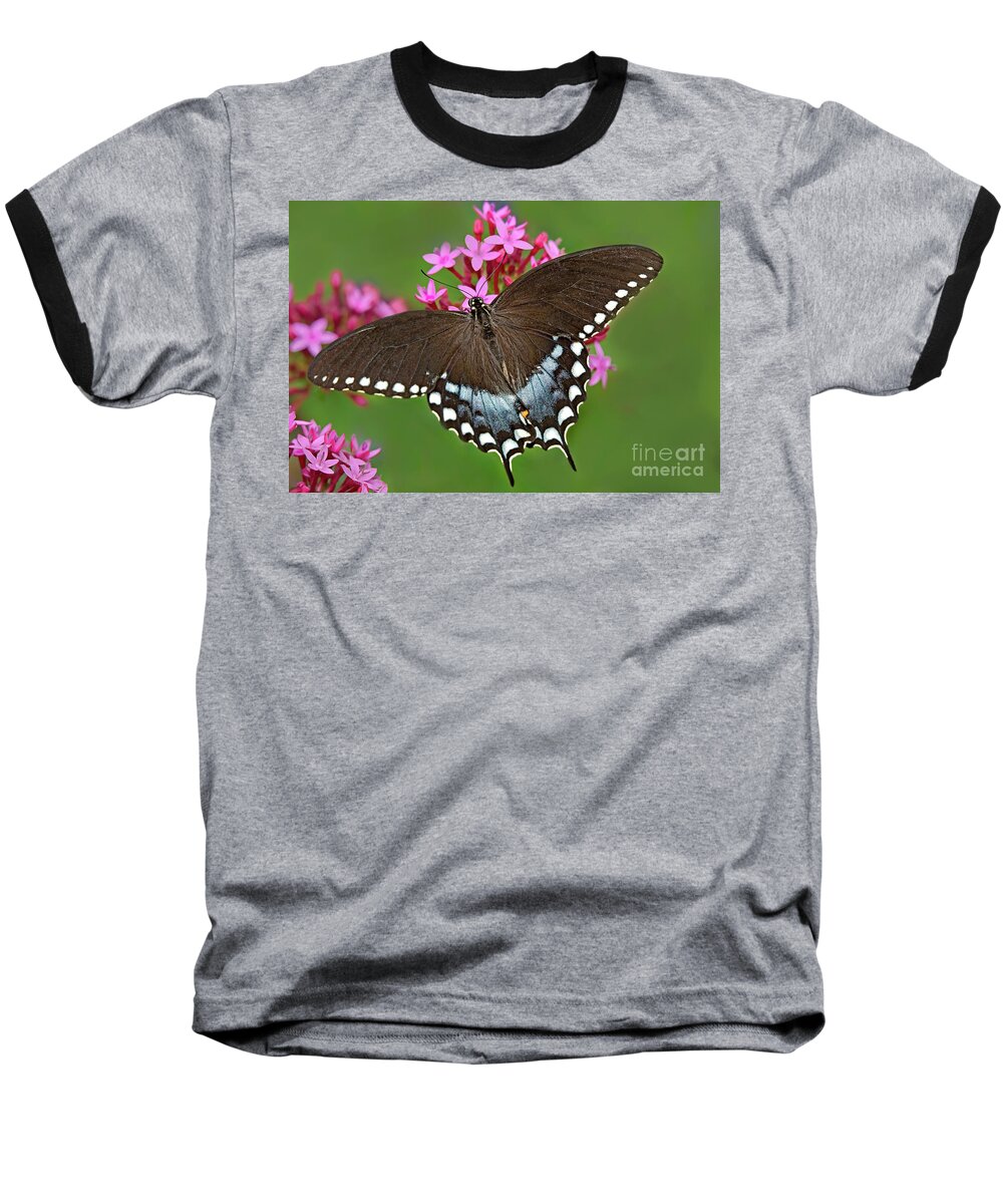 Dave Welling Baseball T-Shirt featuring the photograph Spicebush Swallowtail Papilio Trollus by Dave Welling