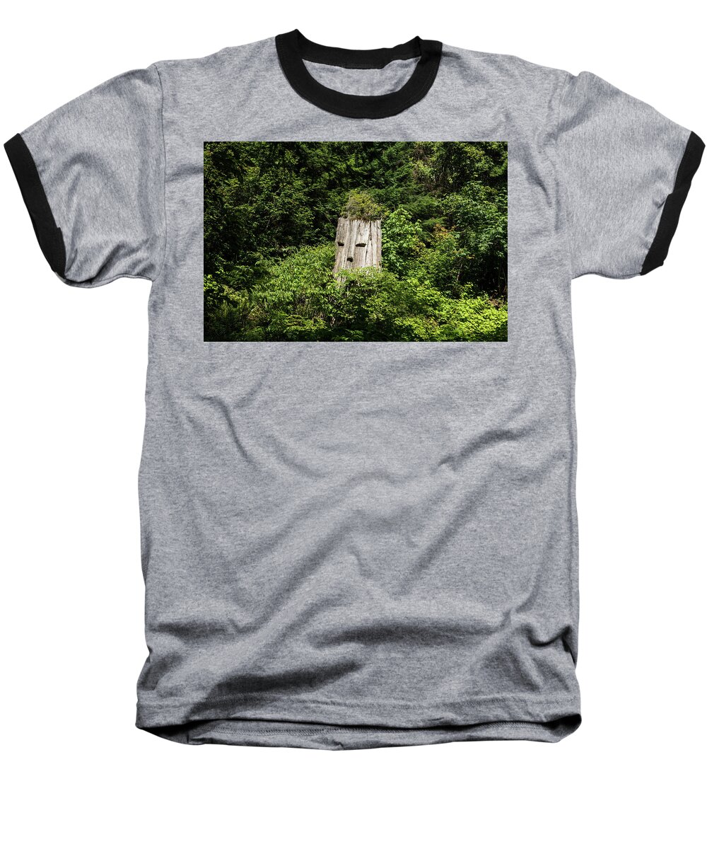 Spirit Of The Forest Baseball T-Shirt featuring the photograph Spirit of the Forest by Tom Cochran