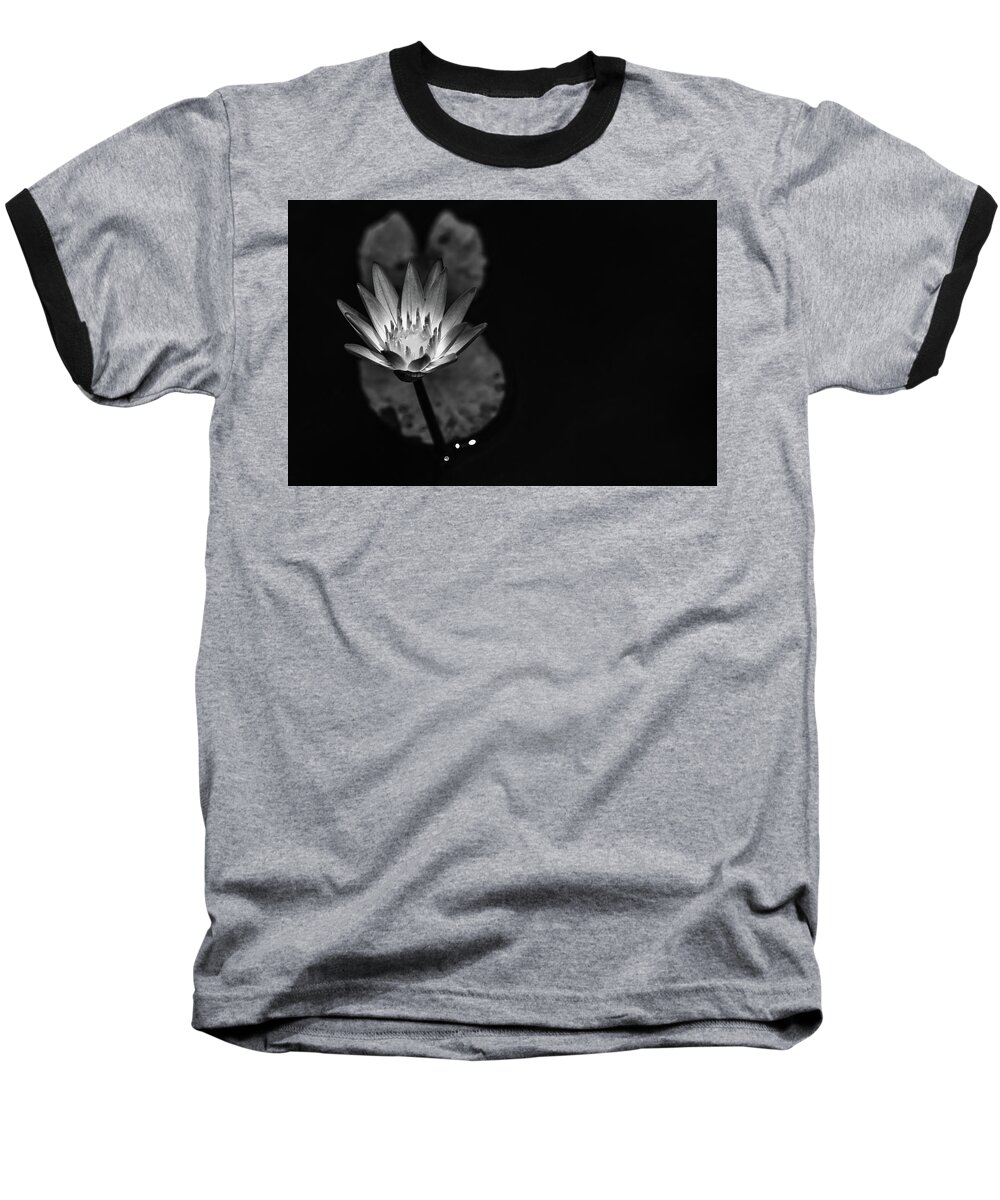 Flower Baseball T-Shirt featuring the photograph Spotlight by Laura Roberts