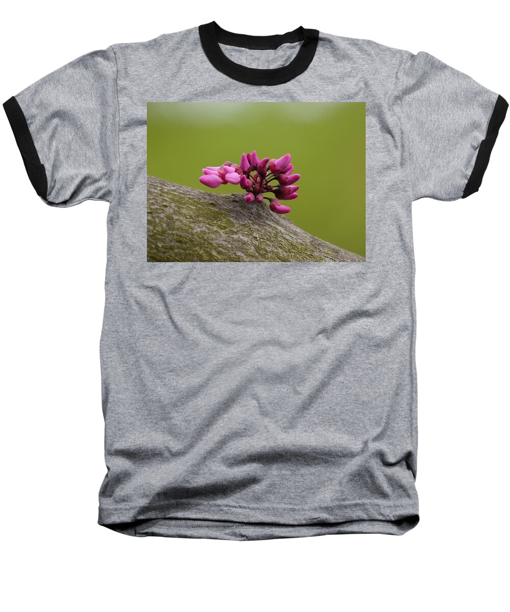 Jane Ford Baseball T-Shirt featuring the photograph Spring has sprung by Jane Ford