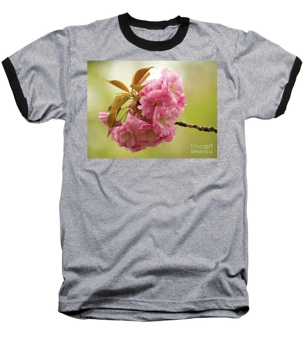 Central Park Baseball T-Shirt featuring the photograph Springtime Blossoms In Central Park 3 by Dorothy Lee