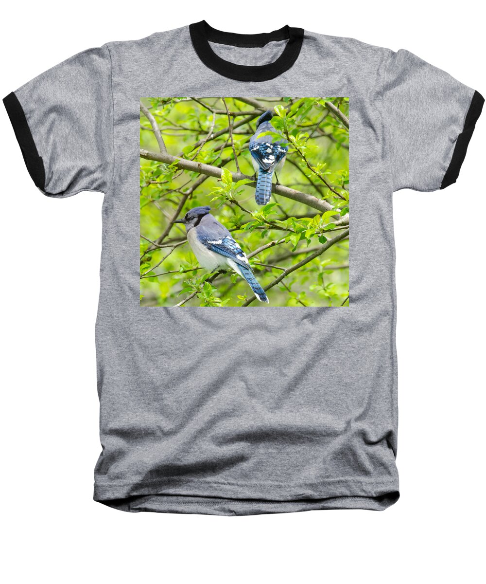 Bluejays Baseball T-Shirt featuring the photograph Springtime Pairs by Kristin Hatt