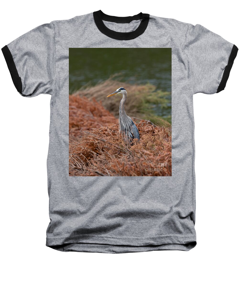 Photography Baseball T-Shirt featuring the photograph Standing Tall Heron by Alma Danison