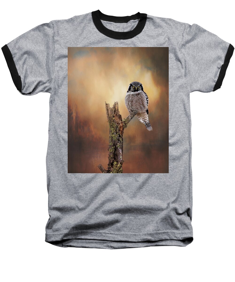 Northern Hawk Owl Baseball T-Shirt featuring the photograph Stare Into My Eyes by Susan Rissi Tregoning