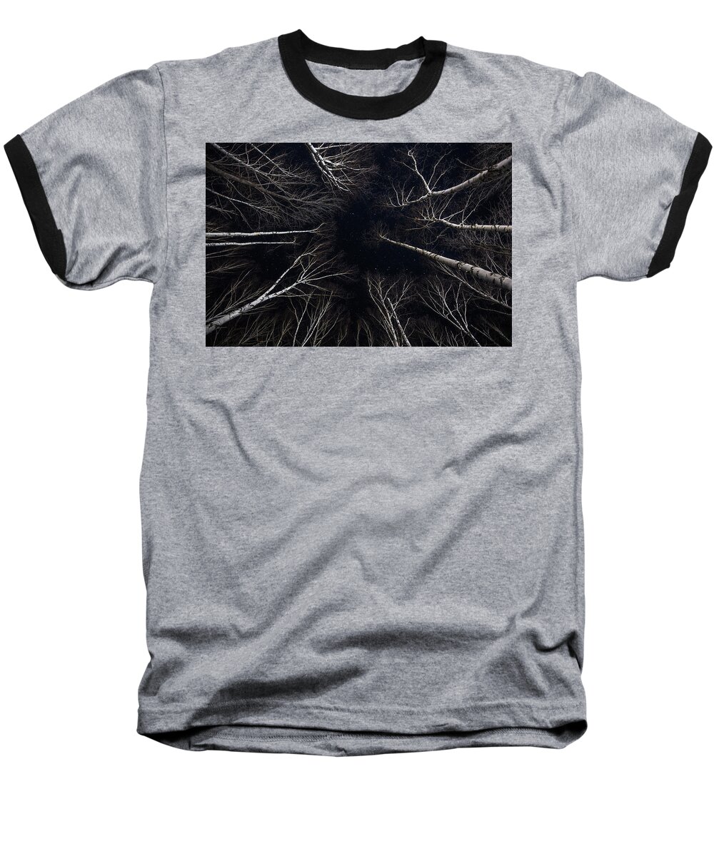 Ghostly Baseball T-Shirt featuring the photograph Starry Winter Birch Forest by White Mountain Images