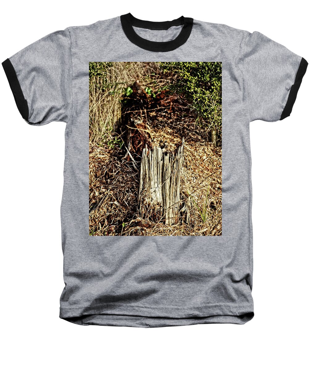 Beach Baseball T-Shirt featuring the photograph Stump in Swamp by Maggy Marsh
