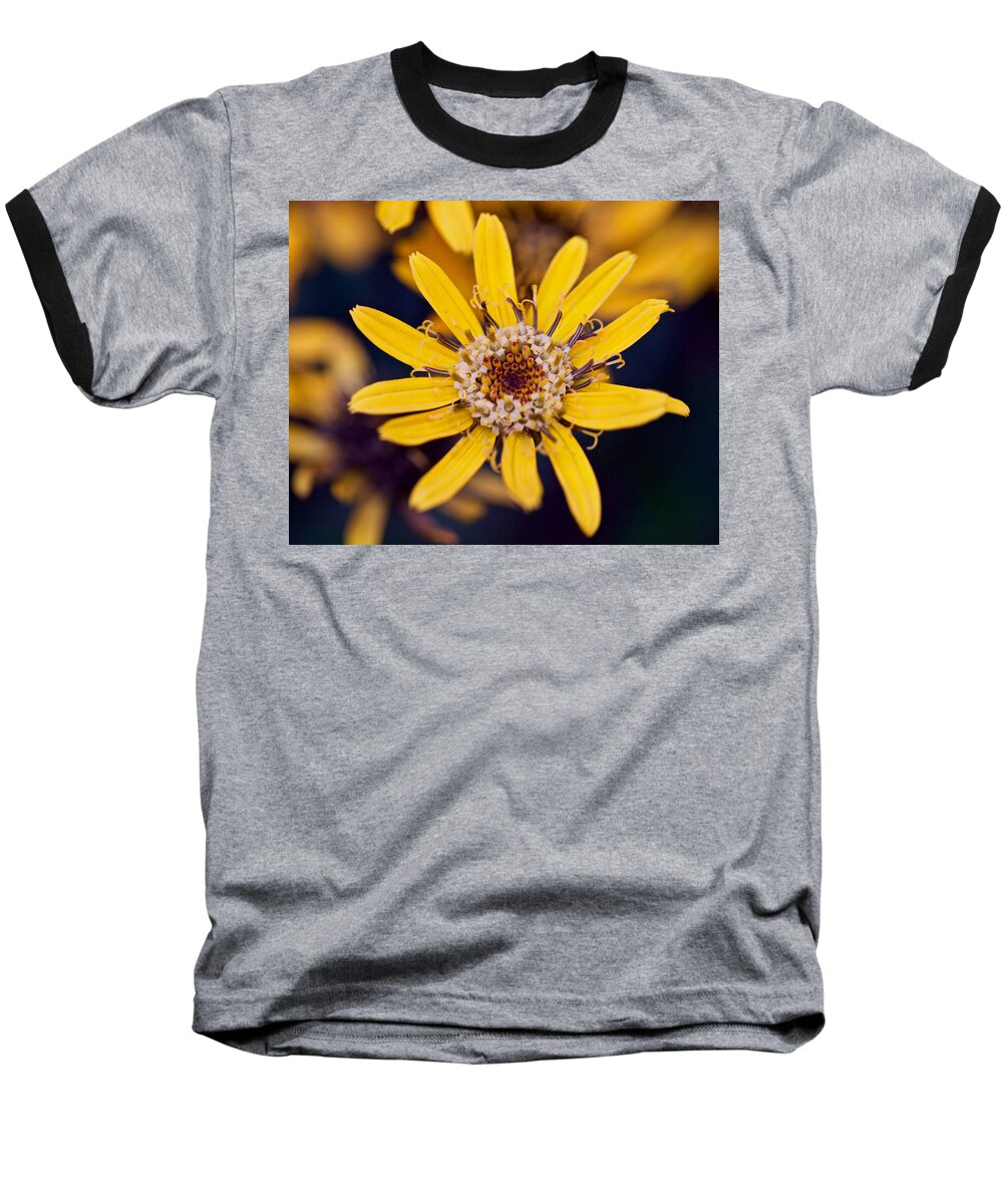 Flower Baseball T-Shirt featuring the photograph Summer Ragweed Closeup by Todd Kreuter