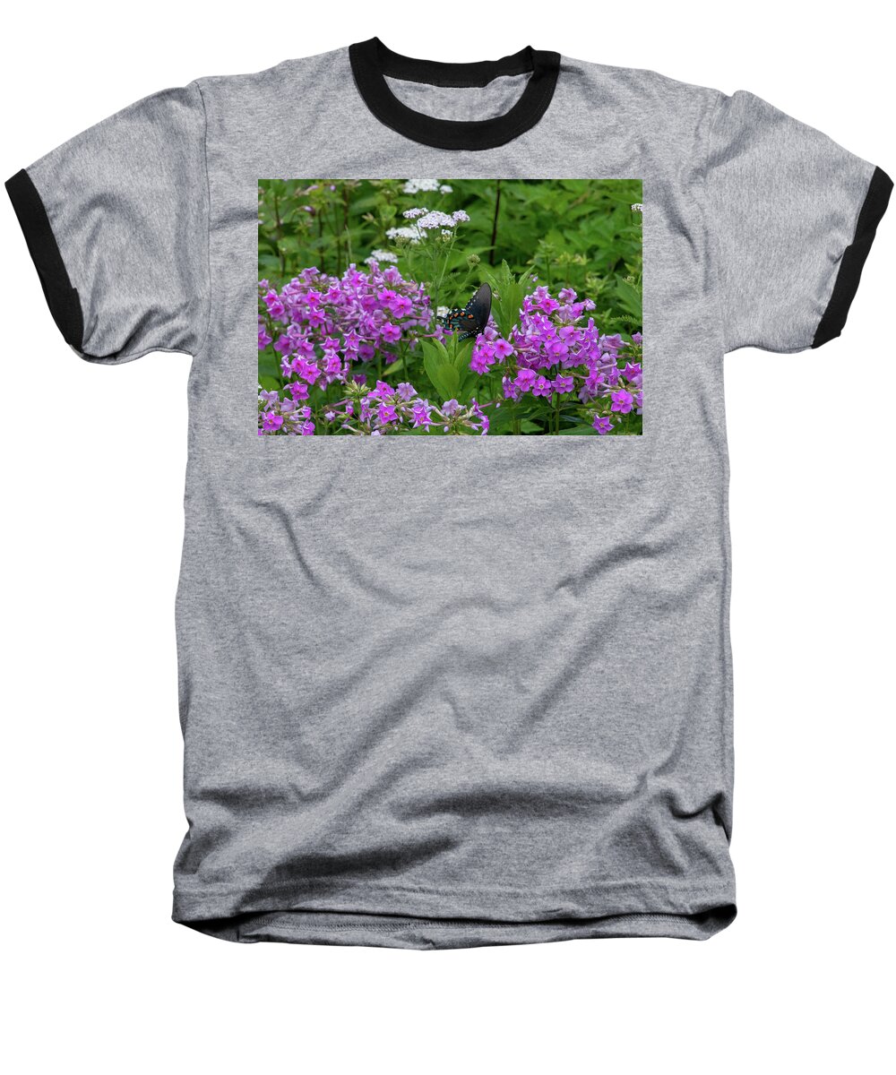 Butterfly Baseball T-Shirt featuring the photograph Swallowtail Butterfly by Natural Vista Photo