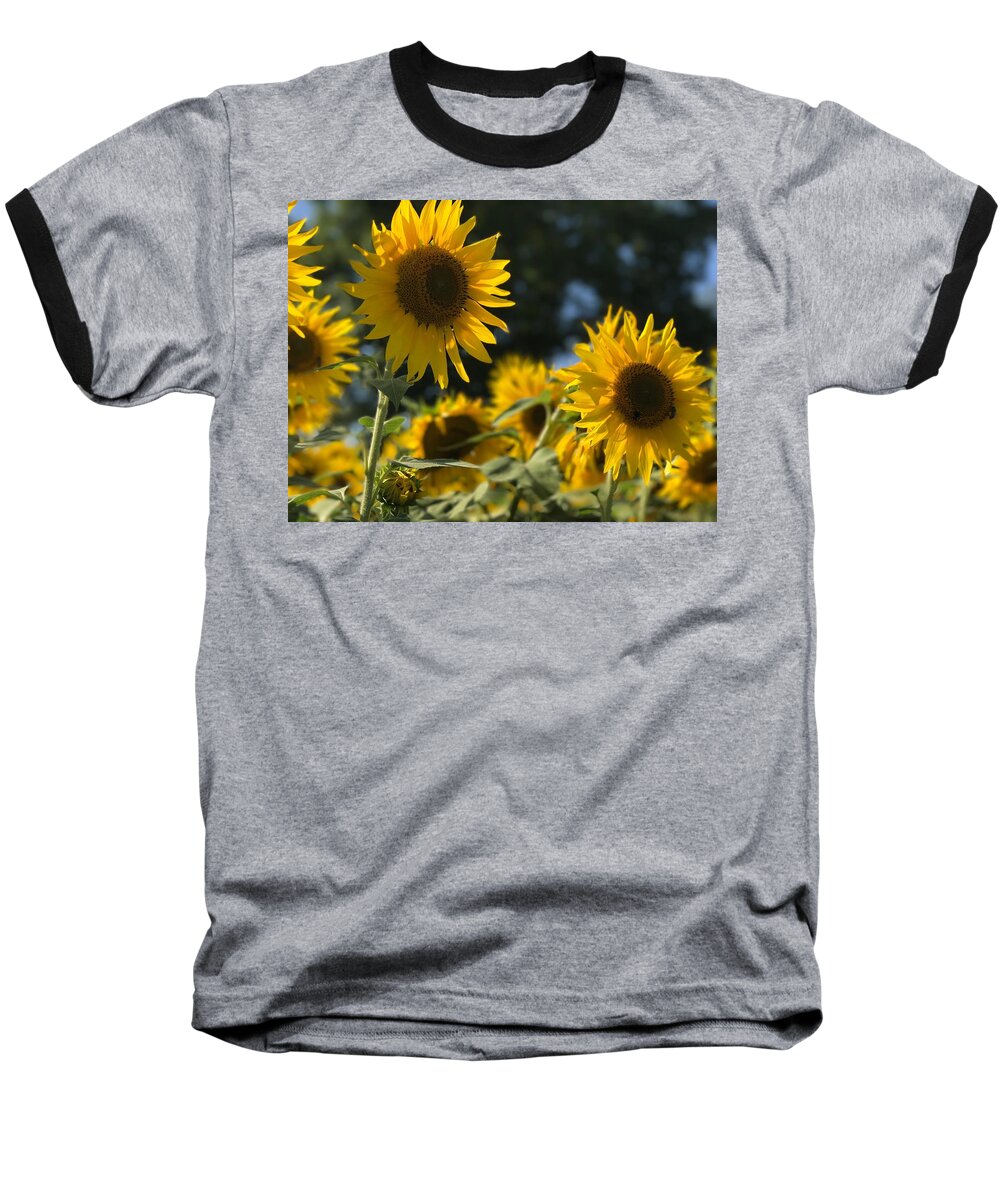 Sunflowers Baseball T-Shirt featuring the photograph Sweet Sunflowers by Lora J Wilson