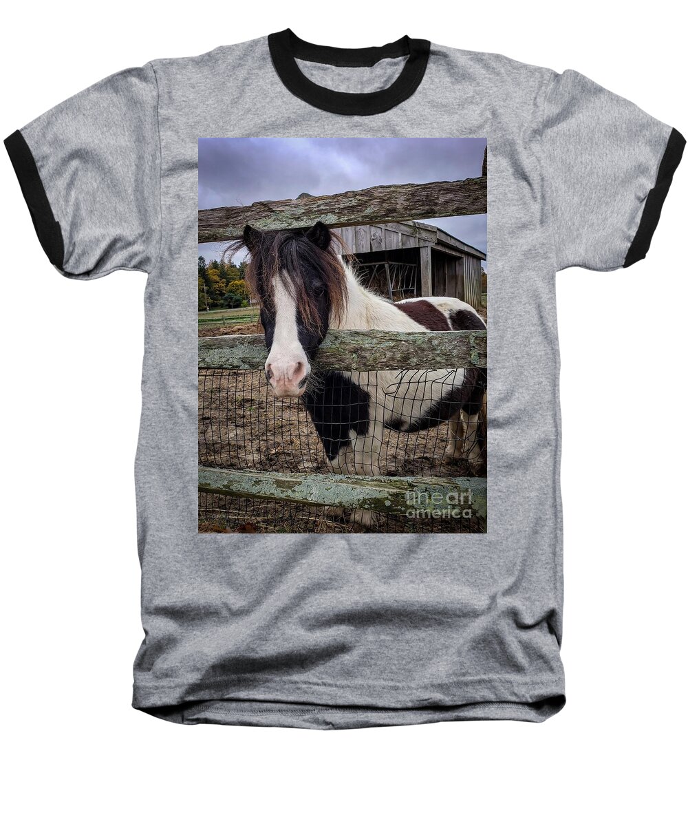 Pony Baseball T-Shirt featuring the photograph Tendercrop Pony by Mary Capriole