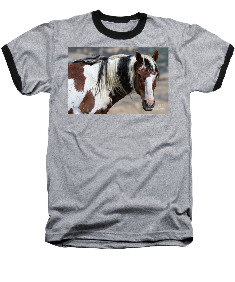 Picasso Baseball T-Shirt featuring the photograph The Old Guard by Jim Garrison