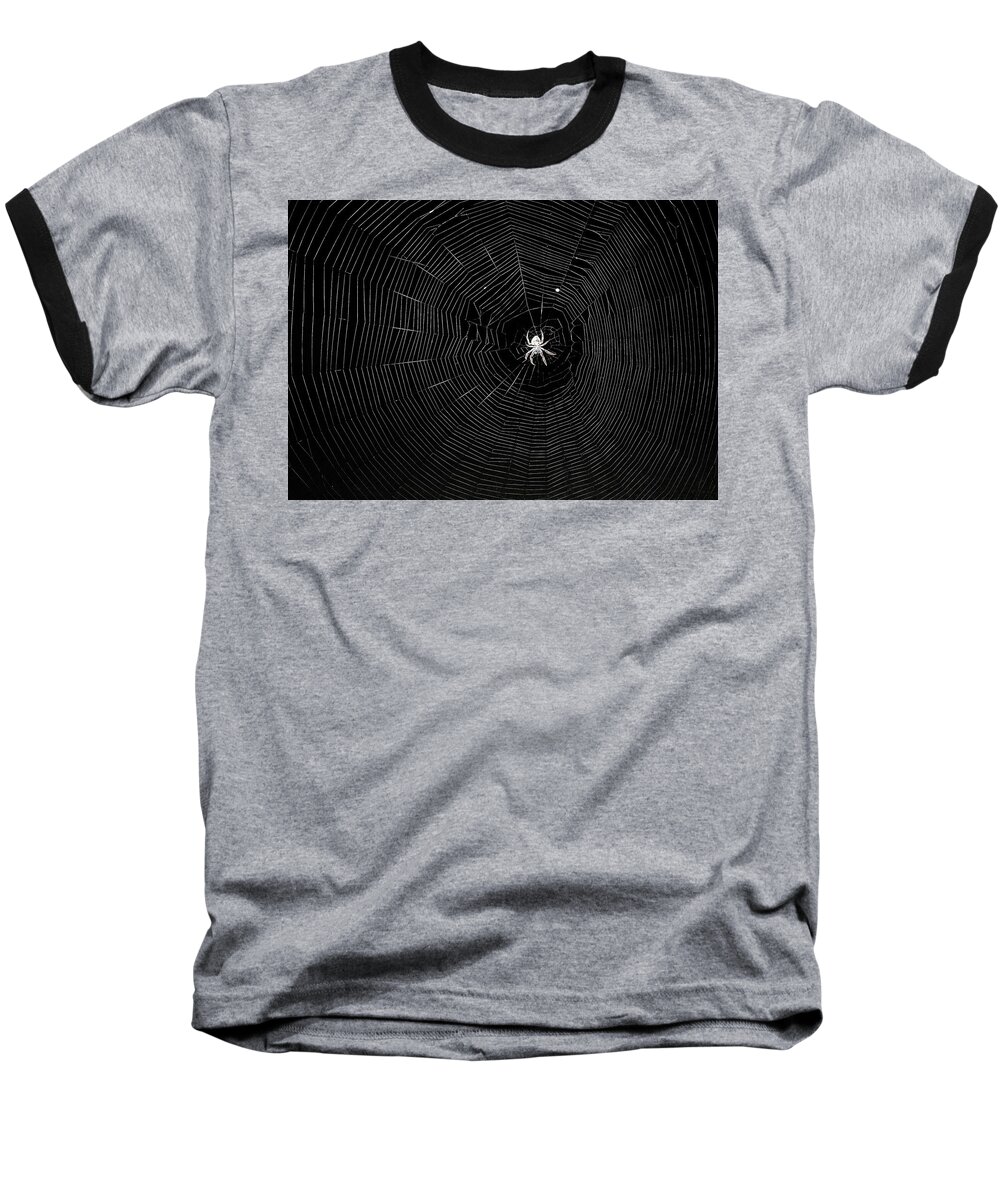 Spider Baseball T-Shirt featuring the photograph The Web by Jerry Connally