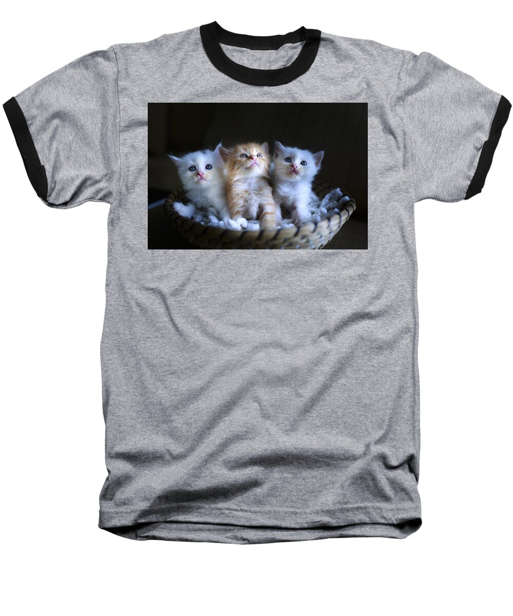 Cat Baseball T-Shirt featuring the photograph Three little kitties by Top Wallpapers