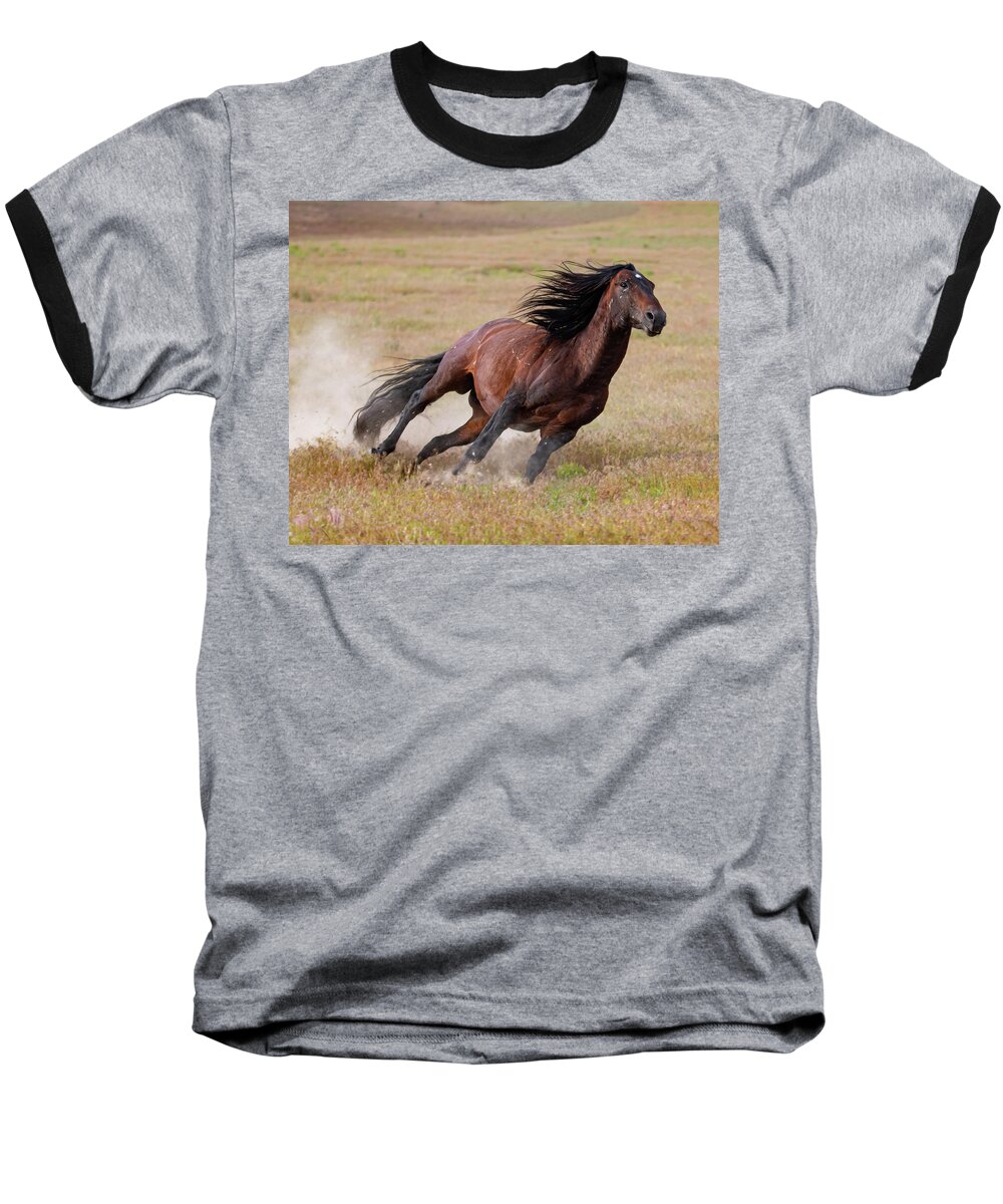 Wild Horses Baseball T-Shirt featuring the photograph Tight Curves by Mary Hone