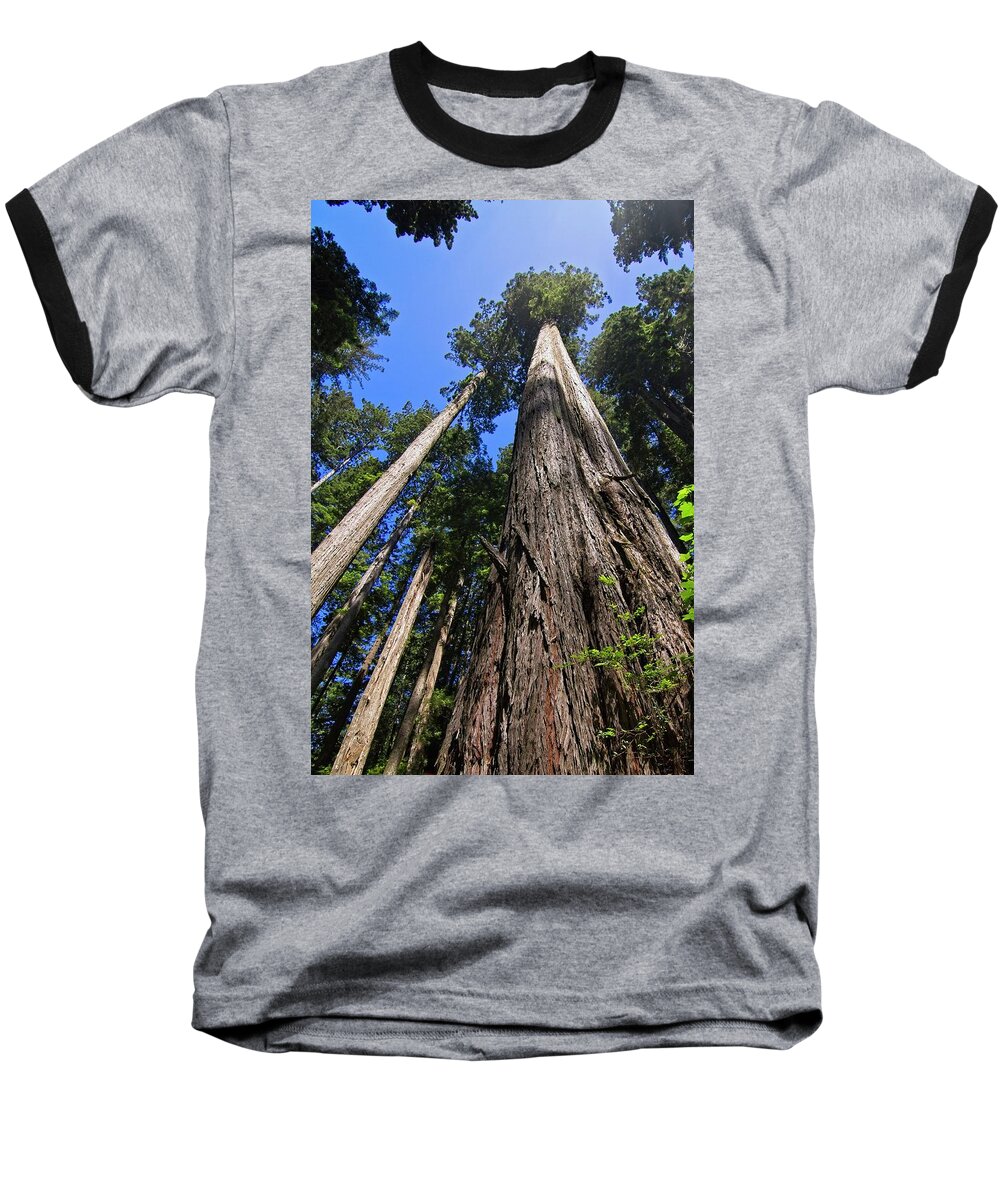 Redwood Baseball T-Shirt featuring the photograph Towering Redwoods by Paul Rebmann