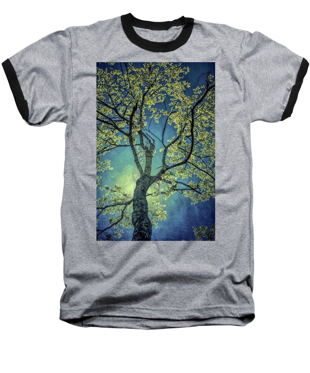 Nature Baseball T-Shirt featuring the photograph Tree Tops 0945 by Donald Brown