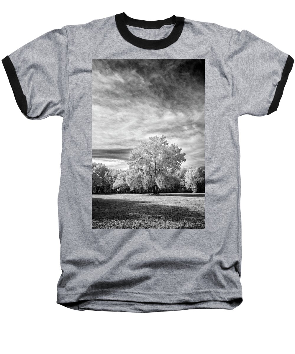 Black And White Baseball T-Shirt featuring the photograph Trees in Florida by Jon Glaser
