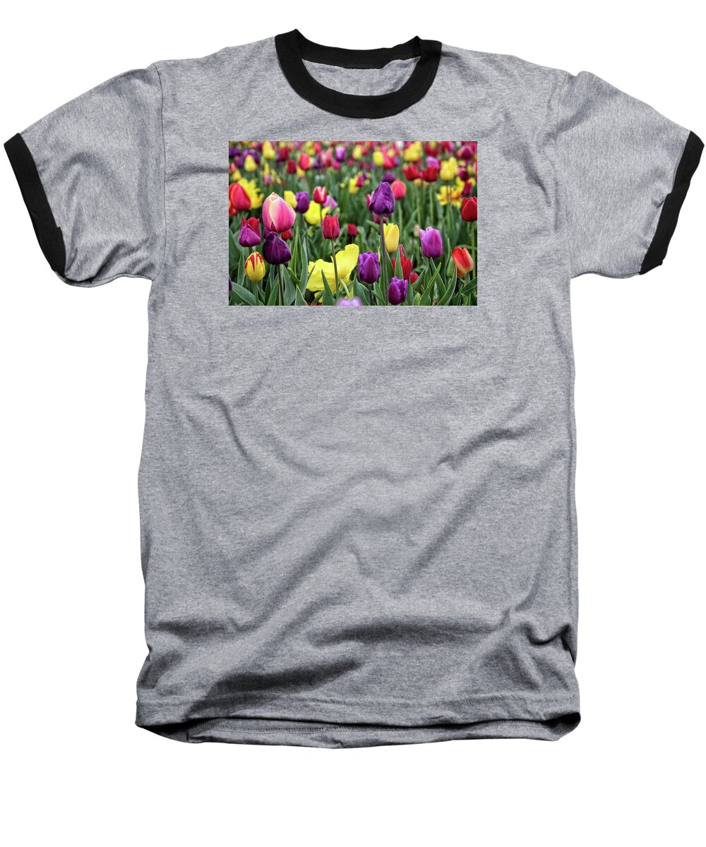 Floral Art Baseball T-Shirt featuring the photograph Tulip Field by Thom Zehrfeld