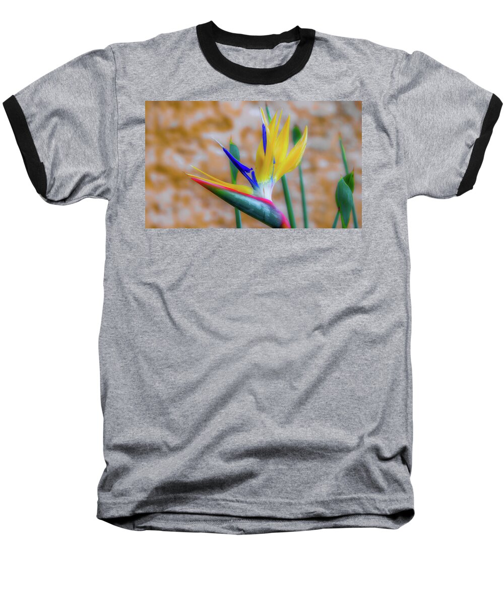 Bird Of Paradise Baseball T-Shirt featuring the photograph Uniquely Floral by Marcy Wielfaert