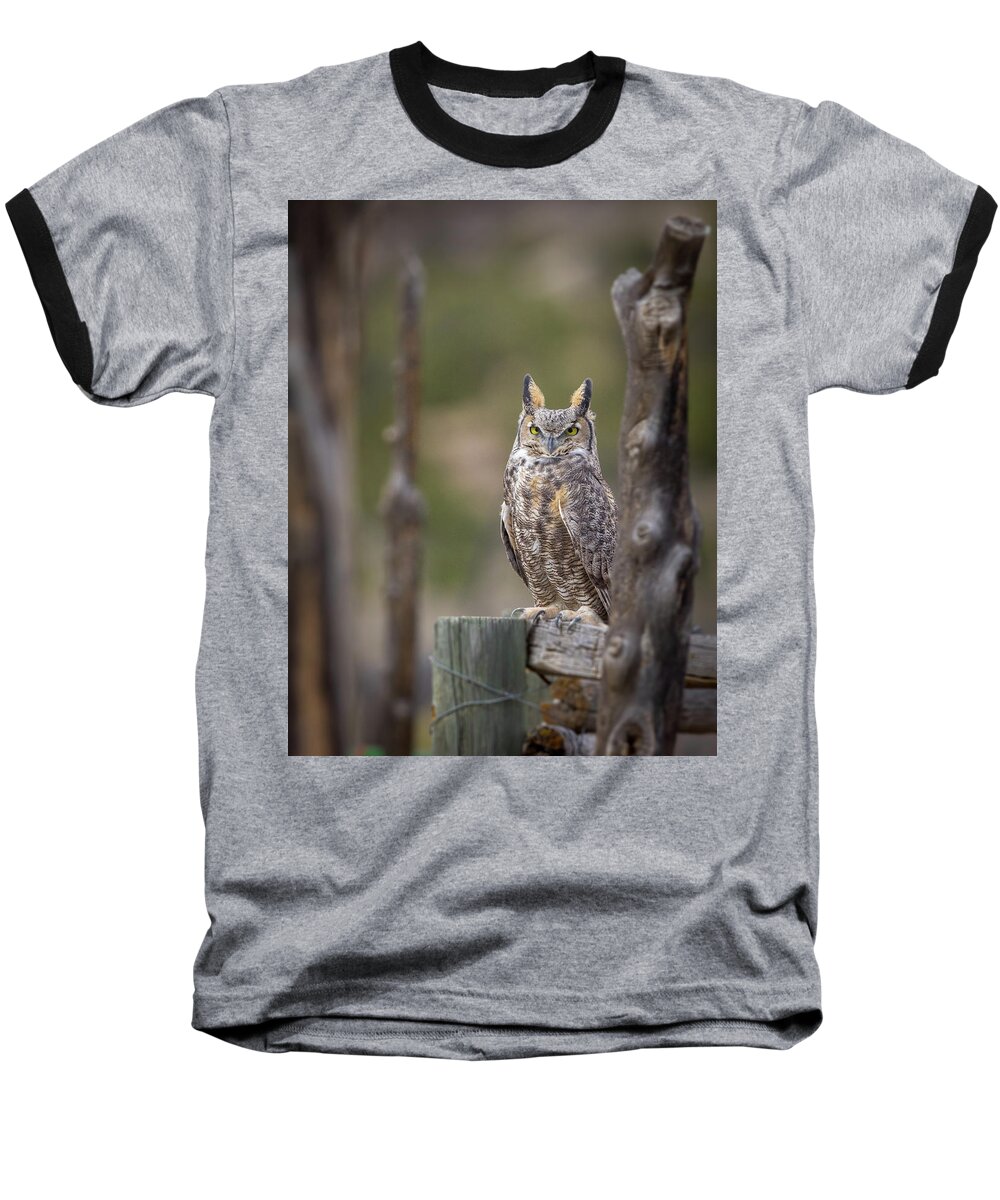 Elk Baseball T-Shirt featuring the photograph Unit 2 Ghost by Kevin Dietrich