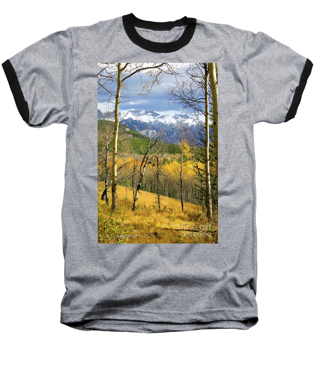 Mountain Baseball T-Shirt featuring the photograph vertical yellow fall autumn leaves Quaking Aspen trees forest grove snowy mountain peaks landscape by Robert C Paulson Jr