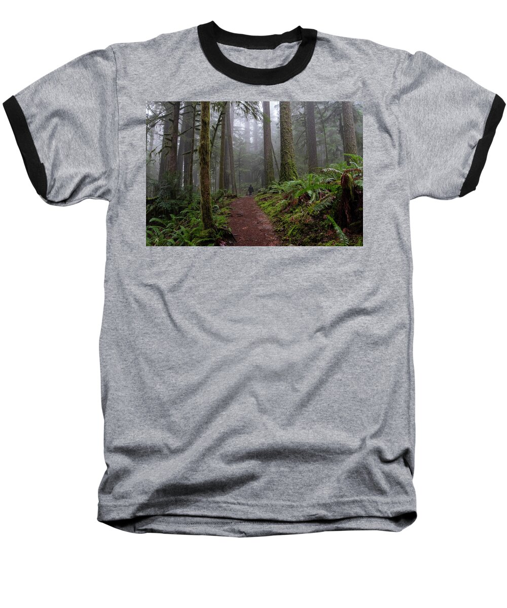 Forests Baseball T-Shirt featuring the photograph Walk Among Giants by Steven Clark