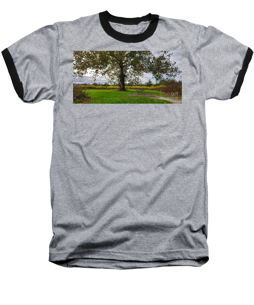 Nature Baseball T-Shirt featuring the photograph Walnut Woods Tree - 1 by Jeremy Lankford
