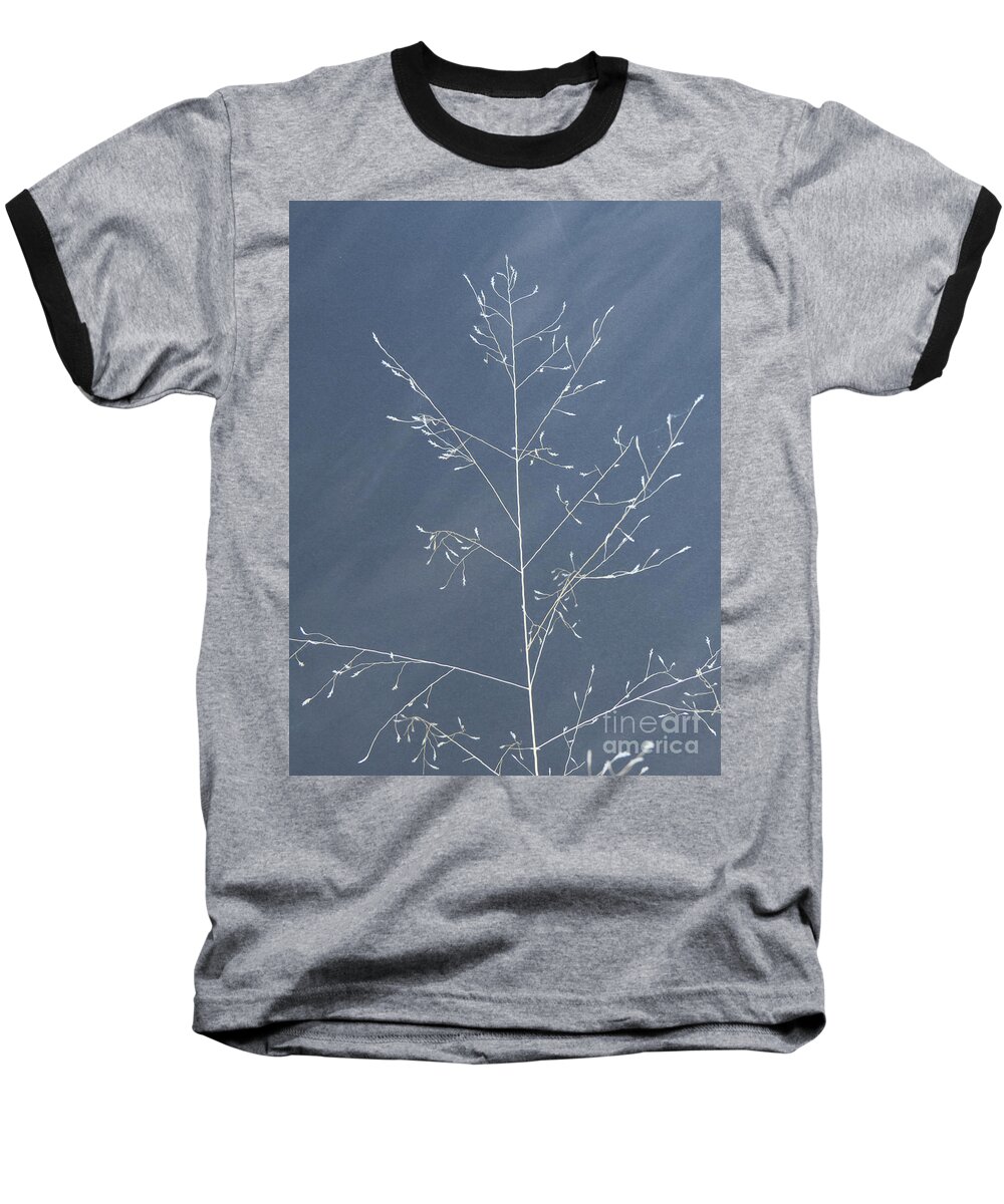 Photograph Baseball T-Shirt featuring the photograph Wispy Stems of Grass by Christy Garavetto