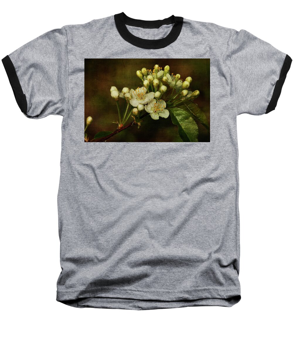 Floral Baseball T-Shirt featuring the photograph White Blossoms by Cindi Ressler