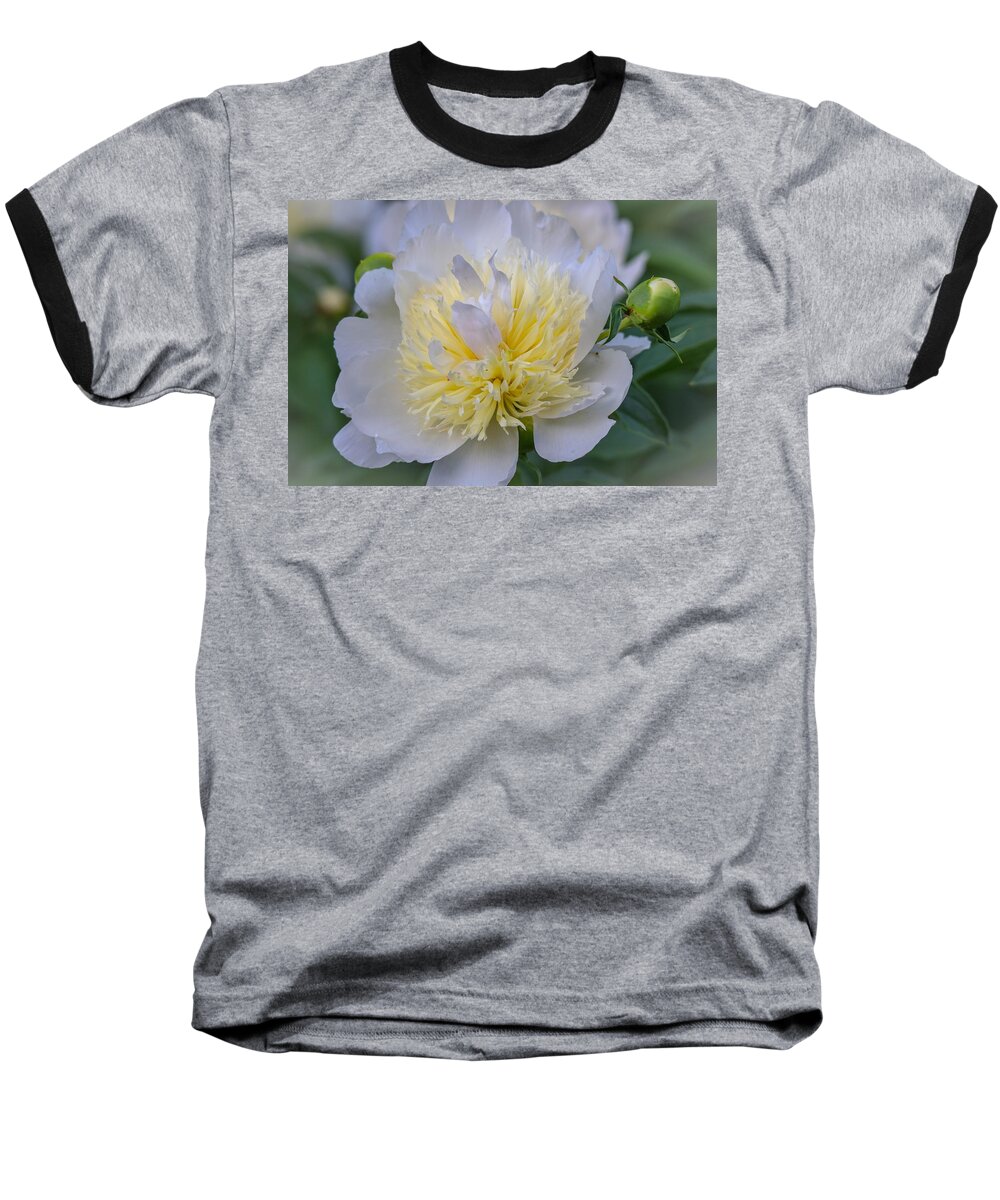 Peony Baseball T-Shirt featuring the photograph White Peony by Susan Rydberg