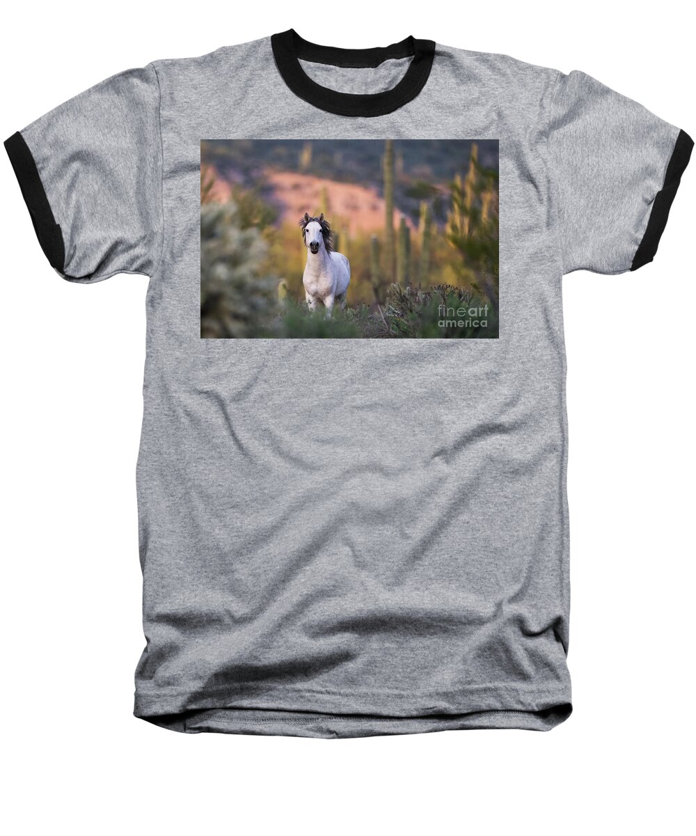 Stallion Baseball T-Shirt featuring the photograph White Stallion by Shannon Hastings
