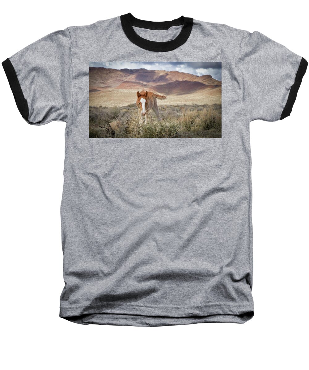 Nevada Baseball T-Shirt featuring the photograph Wild Paint foal colt by Waterdancer