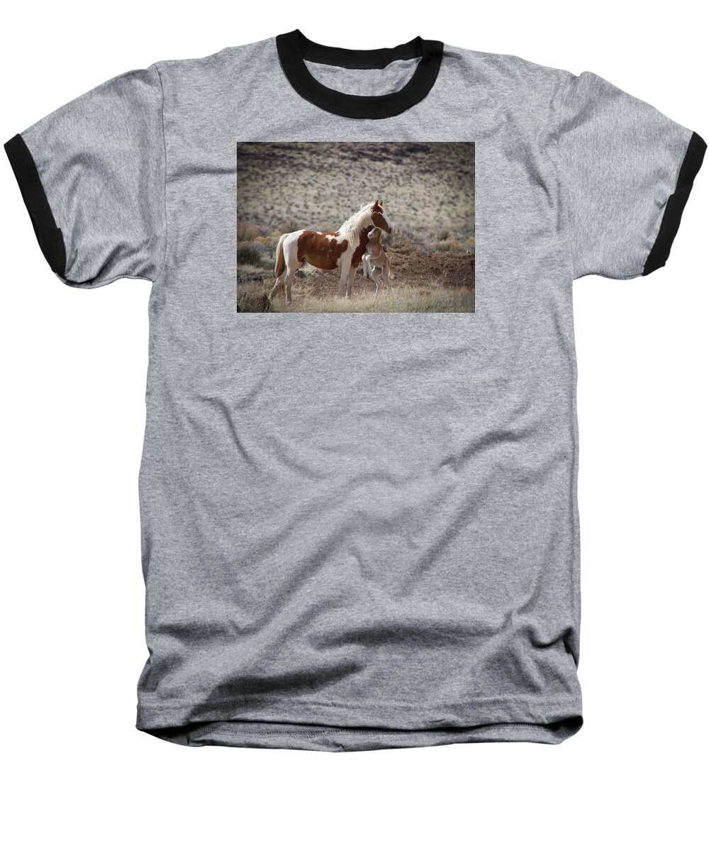 Nevada Baseball T-Shirt featuring the photograph Wild Paint mare and her foal by Waterdancer