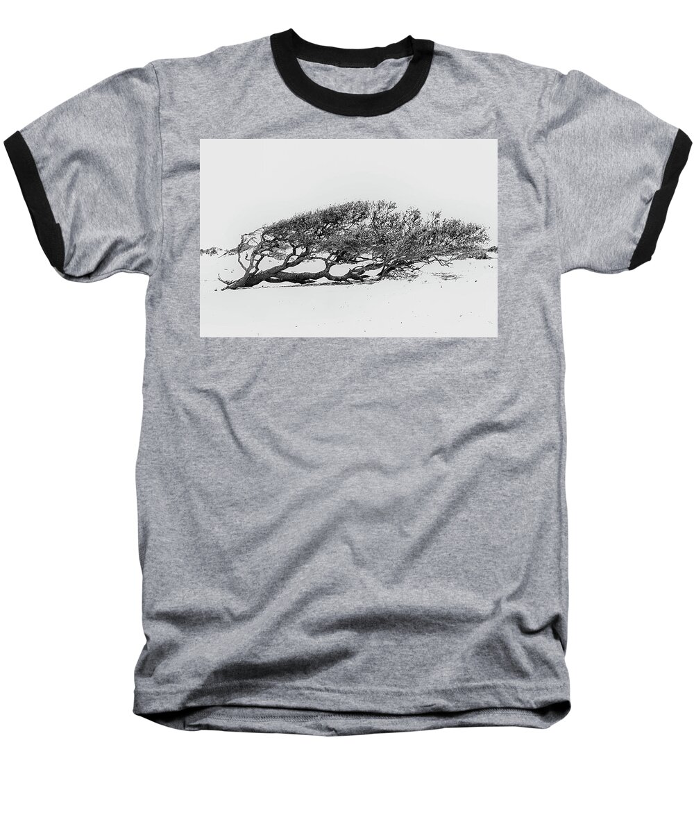 Beach Baseball T-Shirt featuring the photograph Windswept by Bob Decker