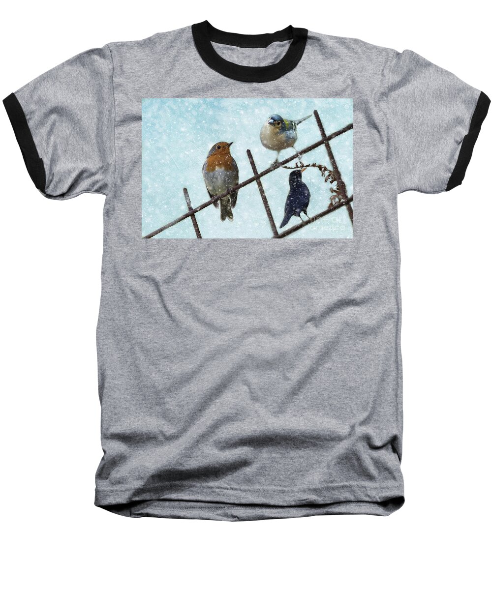 European Robin Baseball T-Shirt featuring the mixed media Winter Birds by Eva Lechner