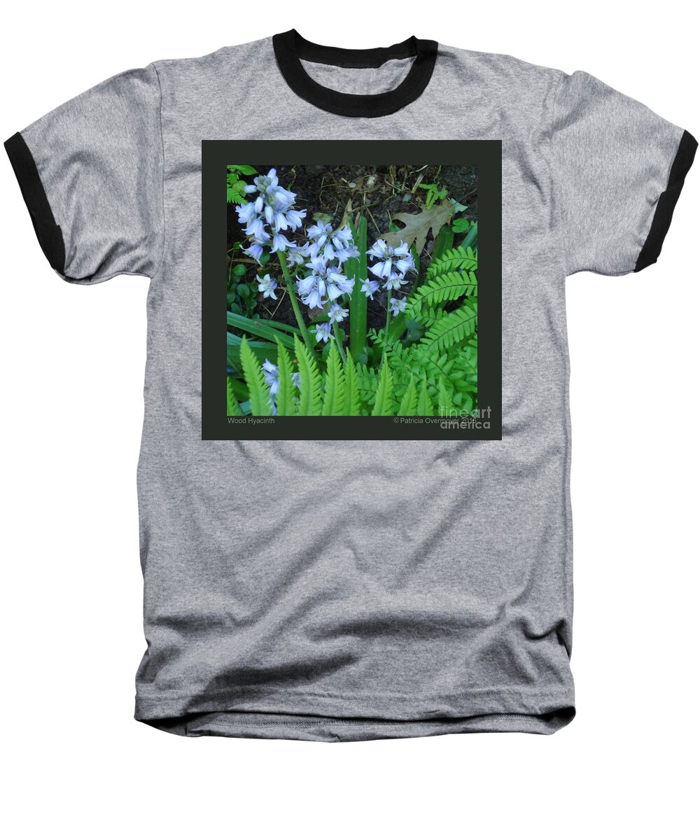 Flower Baseball T-Shirt featuring the photograph Wood Hyacinth by Patricia Overmoyer