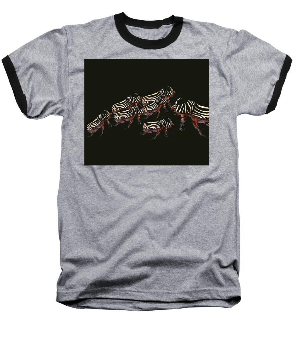 Rhinoceros Beetle Baseball T-Shirt featuring the drawing Zebra Pattern Rhinoceros Beetle 3 by Joan Stratton